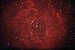 Difúzní mlhovina NGC 2237 Rosette v souhězdí Jednorožce. Foceno12.2.2020.